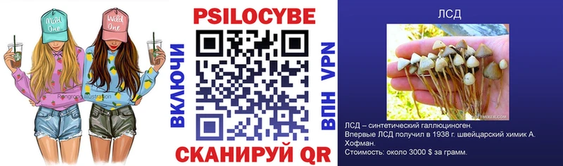 гидра зеркало  Невинномысск  Галлюциногенные грибы прущие грибы 