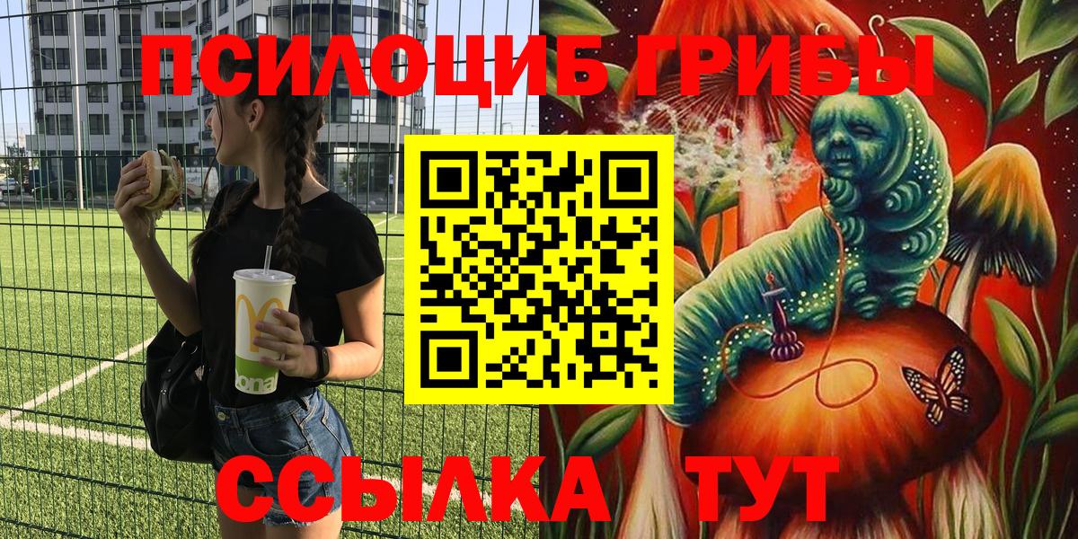 как найти   Псилоцибиновые грибы мицелий  Вход с VPN  Невинномысск 